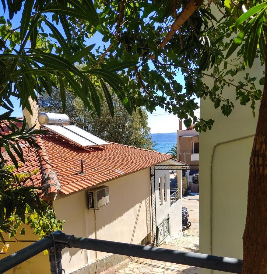 Ellinas Hotel Hriszí Amudiá Kültér fotó